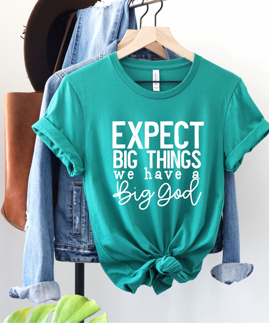 RTS - Expect big things - ADULT SCREEN PRINT TRANSFER